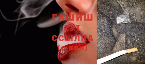 mix Инта