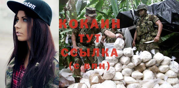 mix Инта