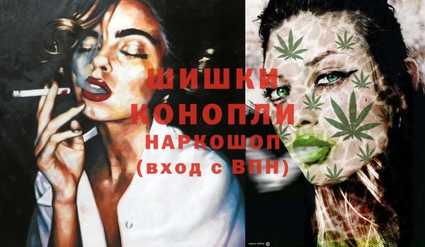 крисы Каменка