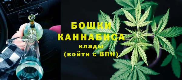 mix Инта