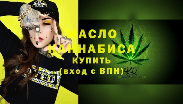 mix Инта
