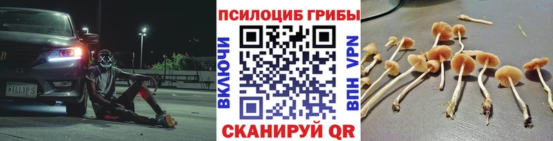 Псилоцибиновые грибы прущие грибы  магазин    площадка состав  Далматово 